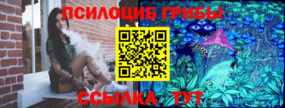 Строитель  Галлюциногенные грибы прущие грибы  хочу   Вход с VPN  Галлюциногенные грибы мухоморы 